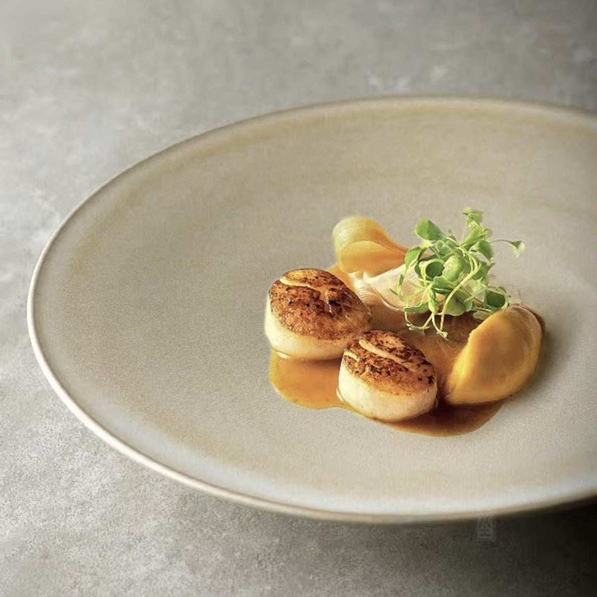 Horizon Plate - Earth Plate