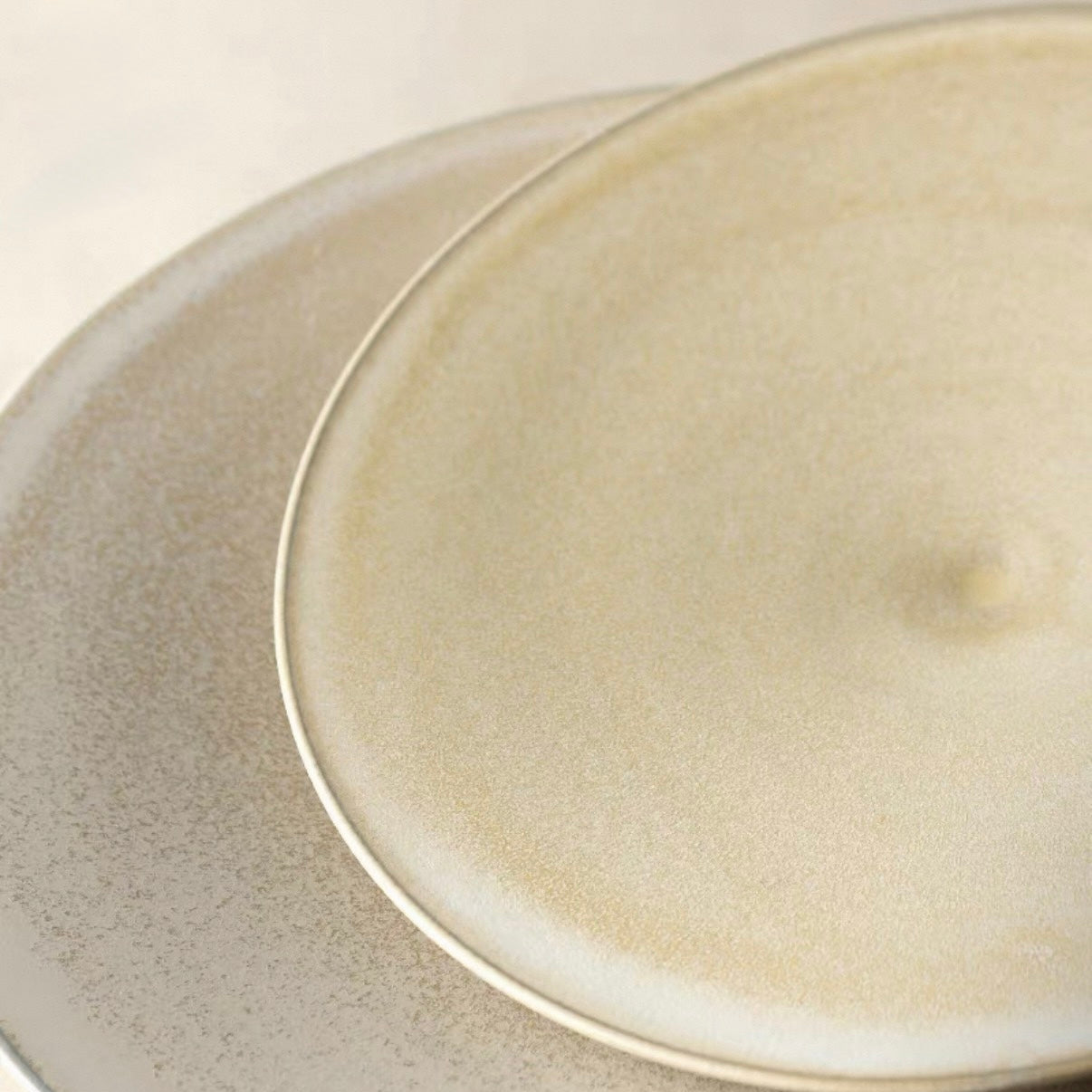 Horizon Plate - Earth Plate