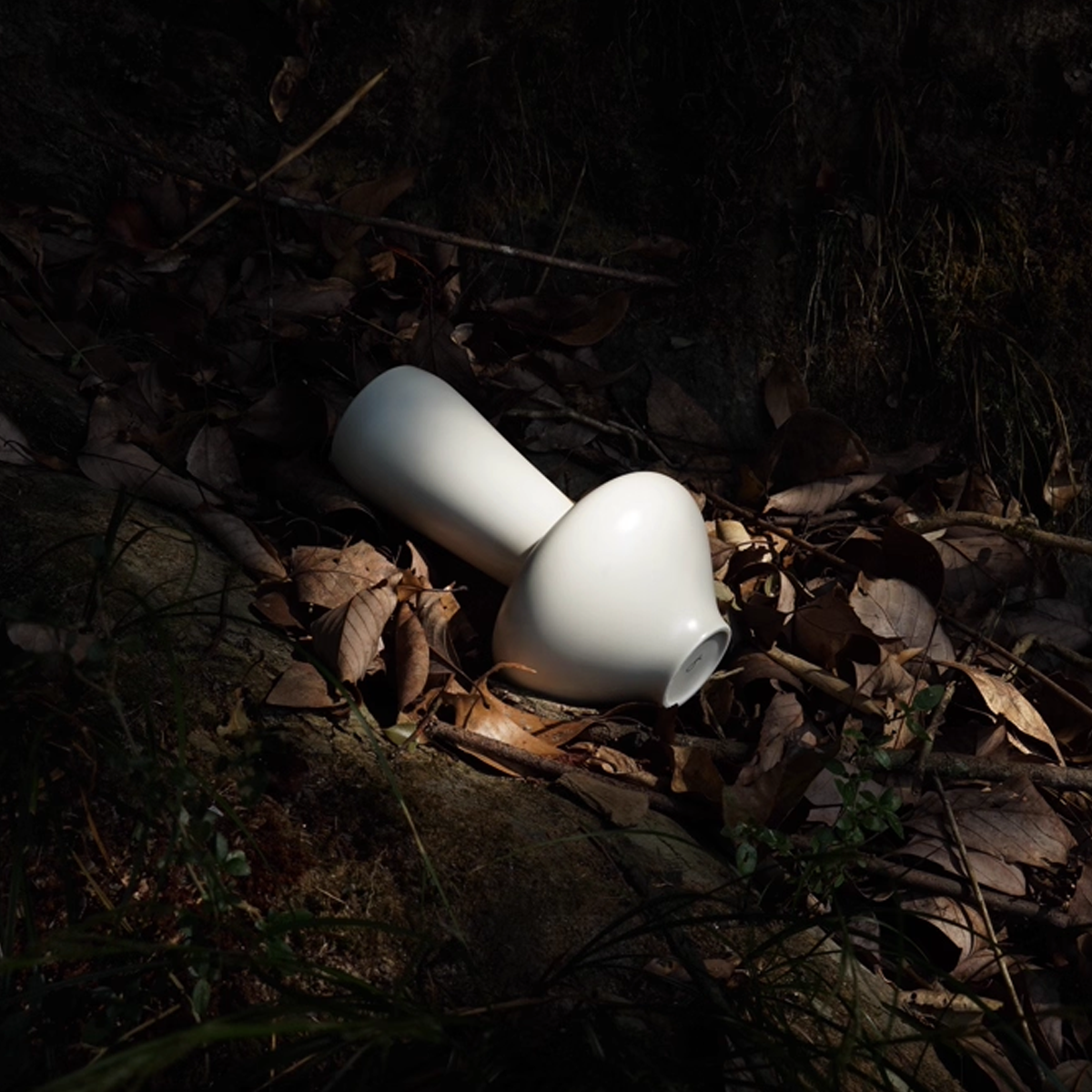 Echo Line - Melting Botanica Vase