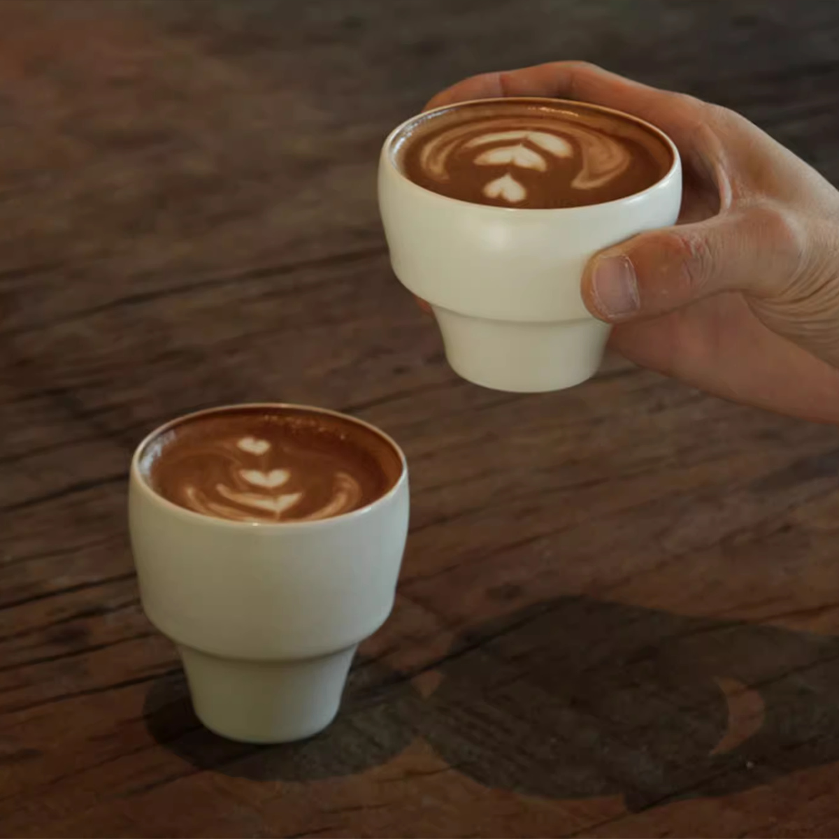 Echo Line - Bloom Cup