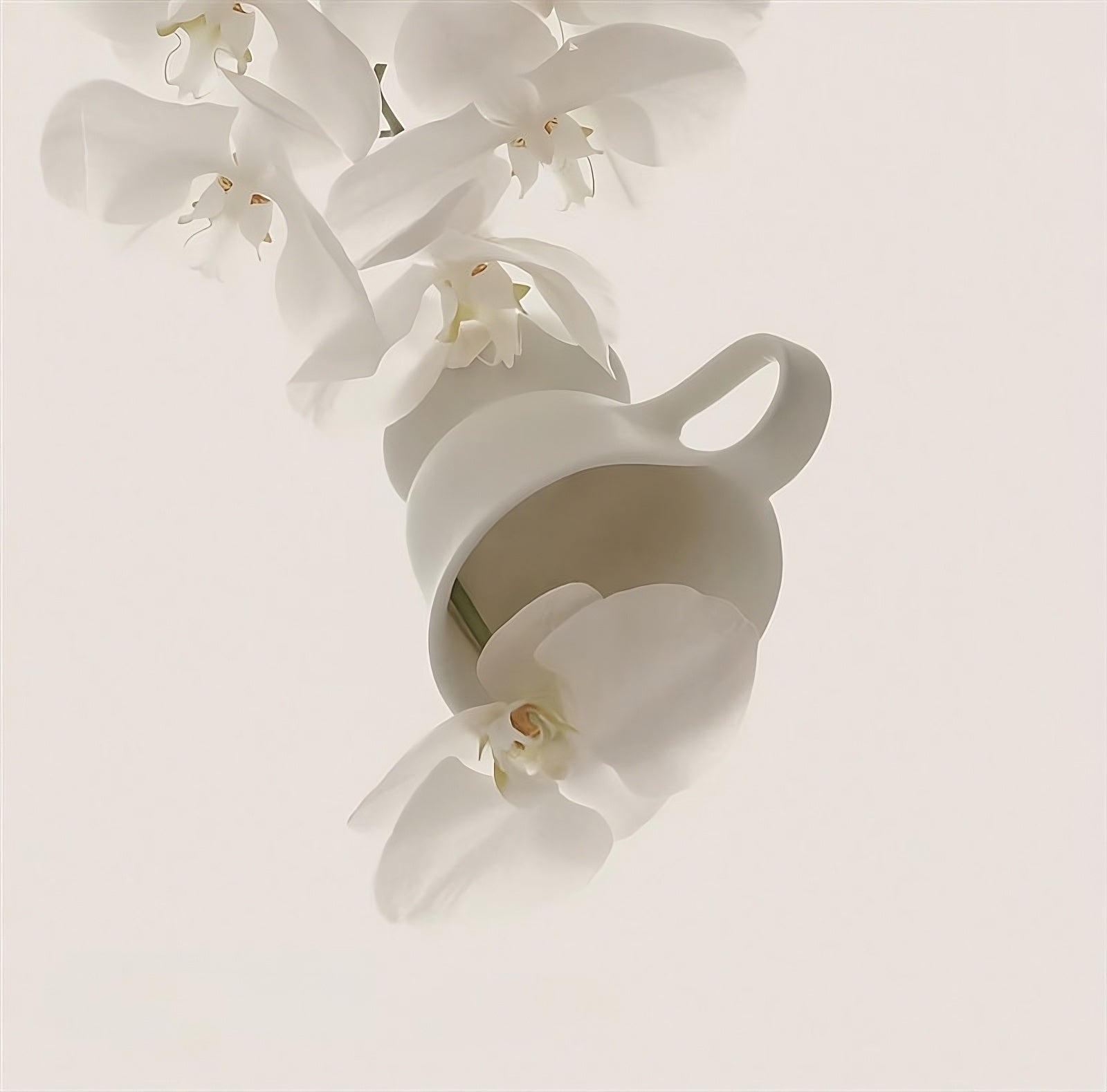 Lunar Cup